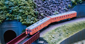 <Local Sen> KIHA 20 Series Orange