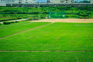 Baseball Ground