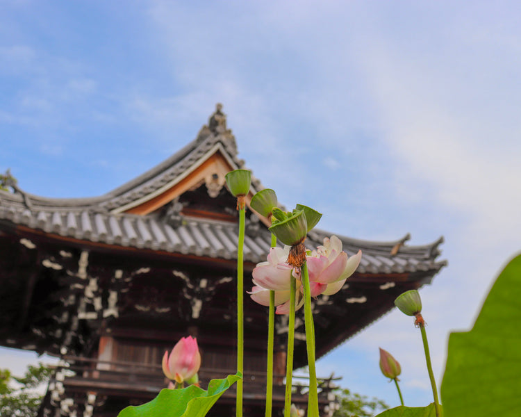 Nakayama Temple