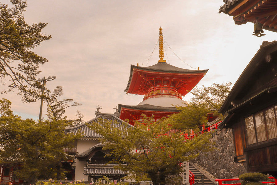 Nakayama Temple 2