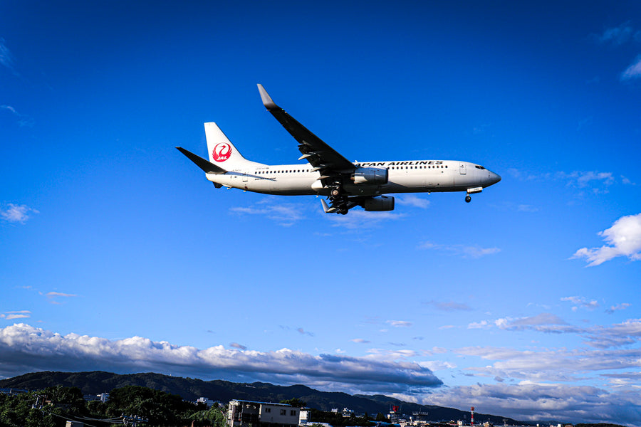 Typhoon Season in Japan