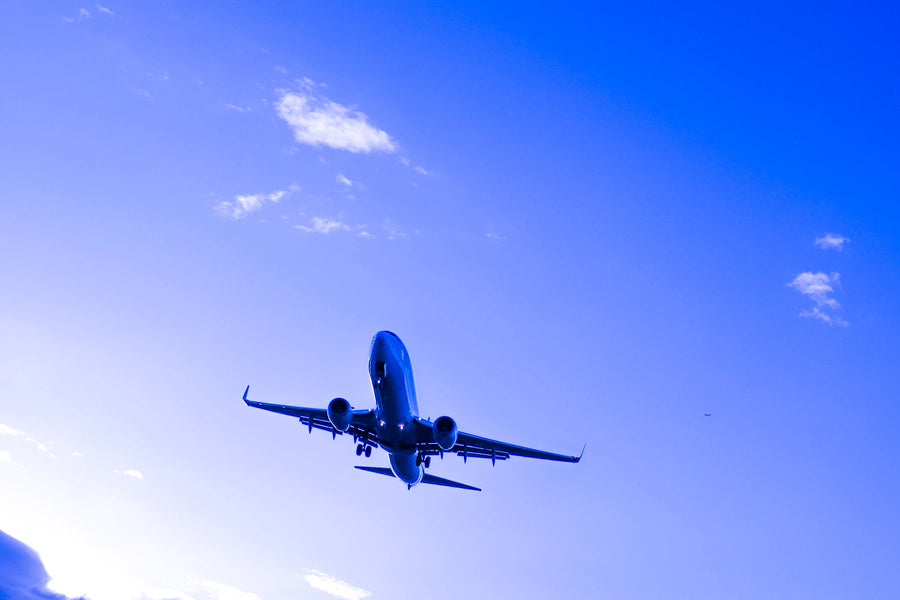 Japan Autumn Season has begun