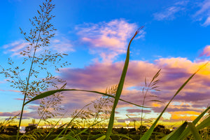 Sunset Window