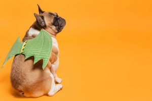 De minimis treatment is abolished (US)