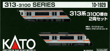 Kato 10-1929 Series 313-3100 2-Car Set (N)