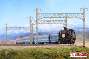 Rokuhan G007-1 TOBU Railway C11 Steam Locomotive Number 207 Starter Set (Z)