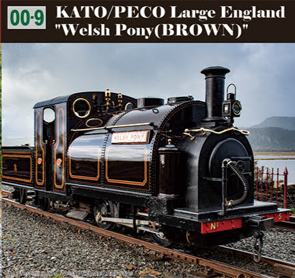 51-251D KATO/PECO (OO-9)Large England 