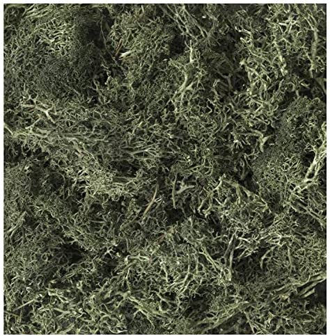Kato 24-555 Natural Plants - Dark Green
